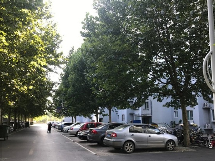 （2009年）鄒平一中翠微園1號、2號、6號樓鑒定